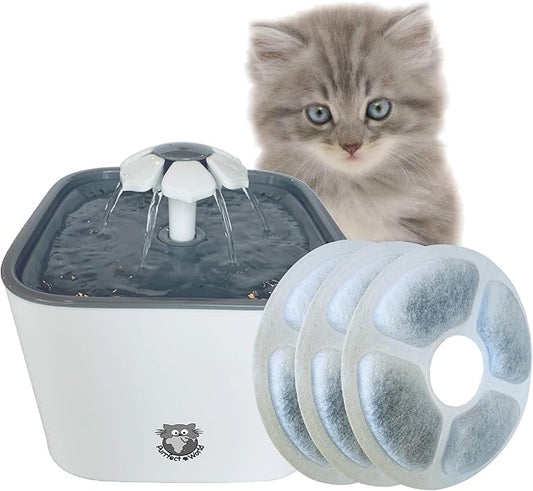 2.0L Pet Fountain Vers 1