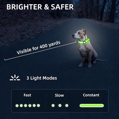 LED Dog Collar for Small Dogs Cats - Fully Waterproof & Adjustable Glow Collar - USB-C Rechargeable for Night Walking, Safety - Flashing Lighted Collar for Dogs(Green,S)