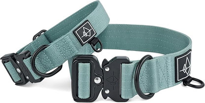 Made to ROAM Premium Dog Collar - Adjustable Heavy Duty Nylon Collar with Quick-Release Metal Buckle (Florida Seaside, Classic Size 4)