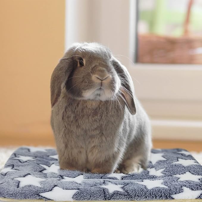 5PCS Guinea Pig Bed Soft Rabbit Bedding Cage Liner Warm Bunny Mats Pee Pads Fleece Blanket Plush Hamster Sleep Beds Ferret Squirrel Hedgehog Rat