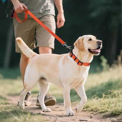 Joytale Reflective Dog Collar,Soft Neoprene Padded Breathable Nylon Pet Collar Adjustable for Extra Large Dogs,Orange,XL