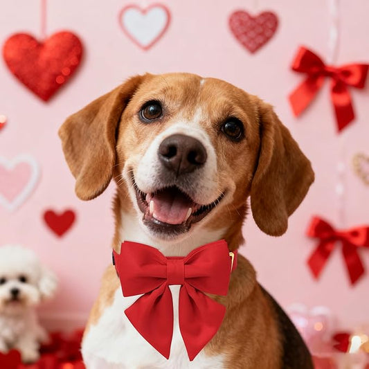 Maca Bates Red Dog Collar with Cute Solid Sailor Bow Tie for Extra Small Girl Boy Dogs,Girly Adjustbale Durable Breakaway Soft Collars with Bowtie for Female Male Puppy,Pet with Metal Buckle