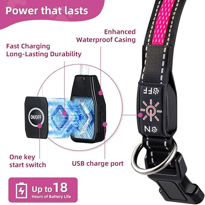 Light Up Dog Collar: Rechargeable Waterproof Safety Pet Accessories - Glow in The Dark Dogs Collars for Night Walking - Best Flashing Neon Pink Lights and Glowing Lighted Gear in Nite Time