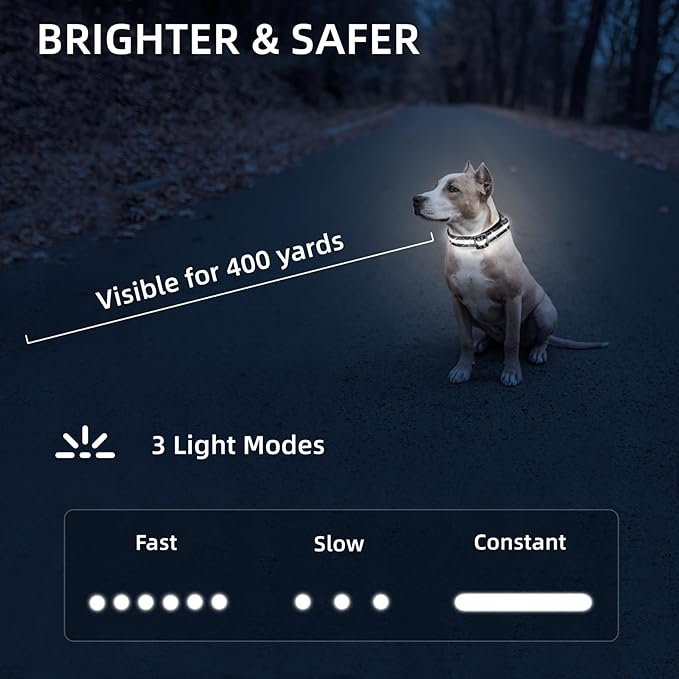 LED Dog Collar for Small Dogs Cats - Fully Waterproof & Adjustable Glow Collar - USB-C Rechargeable for Night Walking, Safety - Flashing Lighted Collar for Dogs(White,XS)