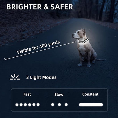LED Dog Collar for Small Dogs Cats - Fully Waterproof & Adjustable Glow Collar - USB-C Rechargeable for Night Walking, Safety - Flashing Lighted Collar for Dogs(White,S)