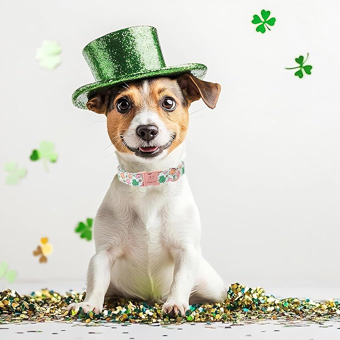 St. Patrick's Day Dog Collar for Small Dogs - Lucky Clover Pastel Dog Collars, Irish Spring Shamrock Pet Collars, Adjustable Heavy Duty Dogs Collar with Metal Buckle S