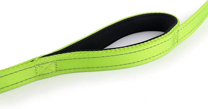 Primal Pet Gear Dog Leash 6ft Long,Traffic Padded Two Handle,Heavy Duty,Reflective Double Handles Lead for Control Safety Training,Leashes for Large Dogs or Medium Dogs,Dual Handles Leads(Green)