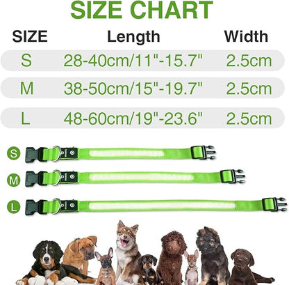MASBRILL LED Dog Collar,Night Light Up Dog Collars Rechargeable Waterproof Glowing Dog Collar for Small Medium Large Dogs