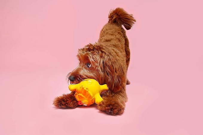Hartz Dura Play Zoo Balloons Squeak Dog Toy, Multiple Pack Sizes 3 Count