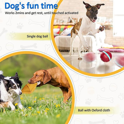 Interactive Dog Balls with Motion Activated, Wicked Ball Squeaky Dog Toy Oxford Bag Keep Dogs Busy (Red Ball)