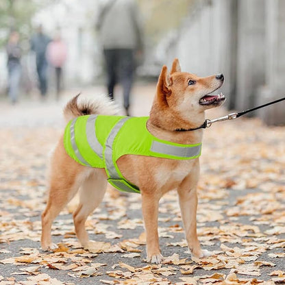Kuoser Reflective Dog Vest, High Visibility Safety Vest for Medium to Large Dogs, Lightweight Pet Reflective Vests for Hunting Outdoor Activities Walking at Night, Fluorescent Green XL