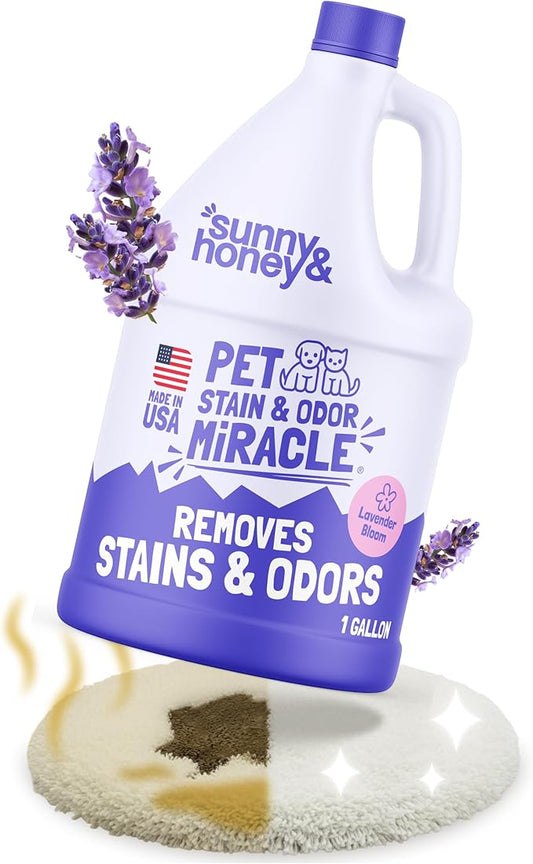 Sunny & Honey Pet Stain and Odor Remover - Enzyme Cleaner for Dog Urine and Poop on Carpets and Furniture - Strong Pet Carpet Cleaner Spray (1 Gallon Lavender)