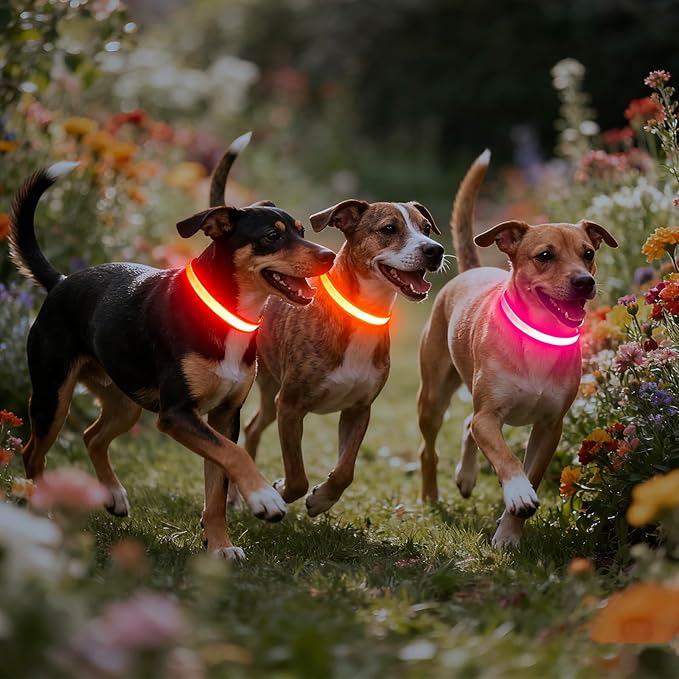 Vizpet LED Dog Collar, Light Up Dog Collar Adjustable USB Rechargeable Super Bright Safety Light Glowing Collars for Dogs(X-Large,Orange)