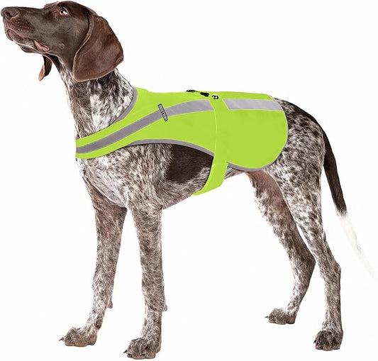 Reflective Dog Vest for Medium and Large Breeds, High Visibility Dog Safety Vest with Removable Bell Keep Safe from Hunting, Training & Cars Accidents
