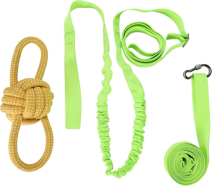 Dog Bungee Tug Toy, Hanging Tether Tug of War for Various of Dogs to Exercie and Play, Outdoor Retractable Dog Rope with Cotton Chew Toy (Green Strap)
