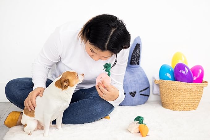 Pearhead Spring Garden Veggies Dog Toys, Easter Plush Squeaky Rope Dog Toys, Radish Carrot & Turnip Vegetable Dog Toy Set, Pet Easter Basket Gift, Set of 3