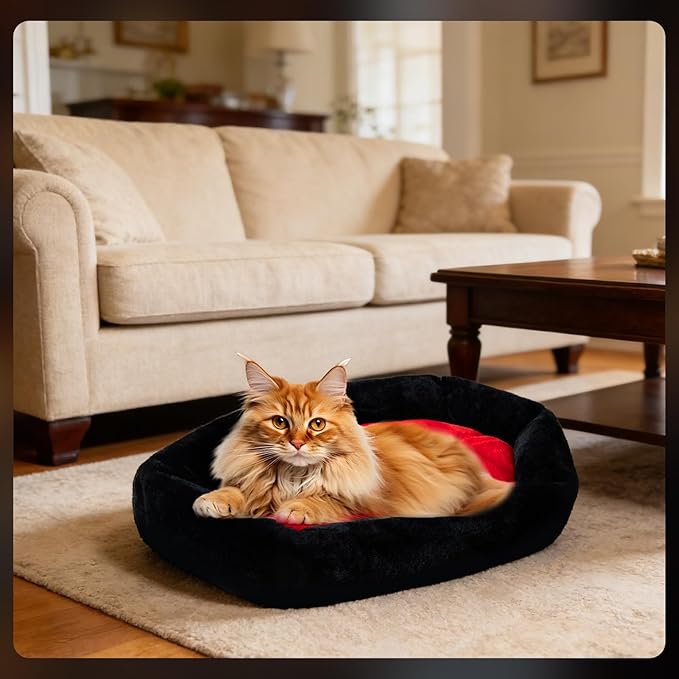 Gothic Cat Beds Fits up to 25 lbs, Washable Coffin Cat Bed, Goth Pet Bed, Halloween House 24 * 16.9 Inch, Red & Black Small