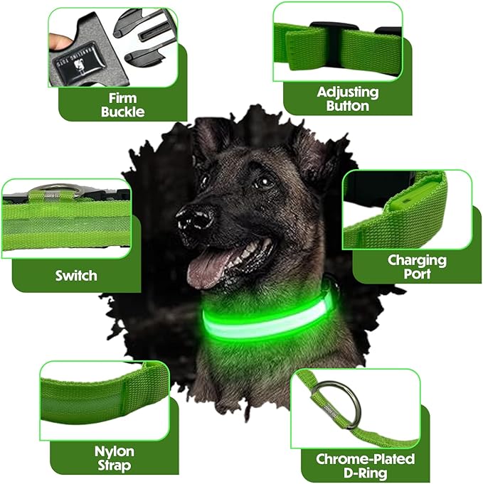 Light Up Dog Collar – Reflective, Adjustable, Rechargeable Electronic Glow Pet Collars – Bright, Comfortable, High Visibility LED Dog Collar for Night Safety, Outdoor Walk, Flashing Fun, Green, Small