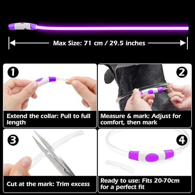Rechargeable Reflective Pet Gear LED Dog Collar Light Up, Flashing Glowing Illuminated Collar for Night Walking, Neon Pet Collar with Light for Small/Medium/Large Dogs (Purple, 1-Pack)