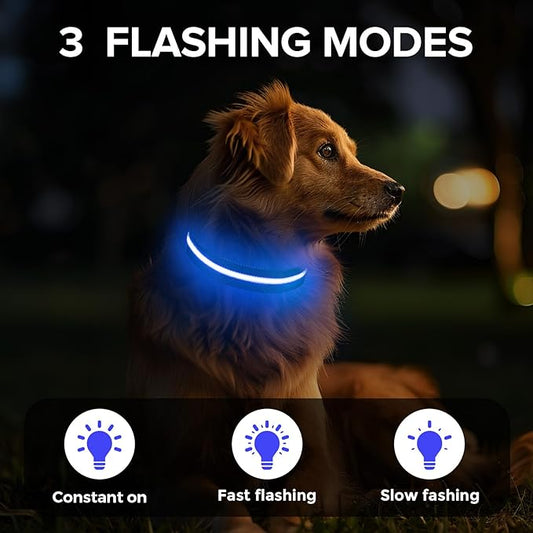 Jewyow Light Up Dog Collar, Adjustable USB Rechargeable Glow in Dark Dog Collar ，Waterproof Dog Collars for Medium Dogs (Blue, Medium)