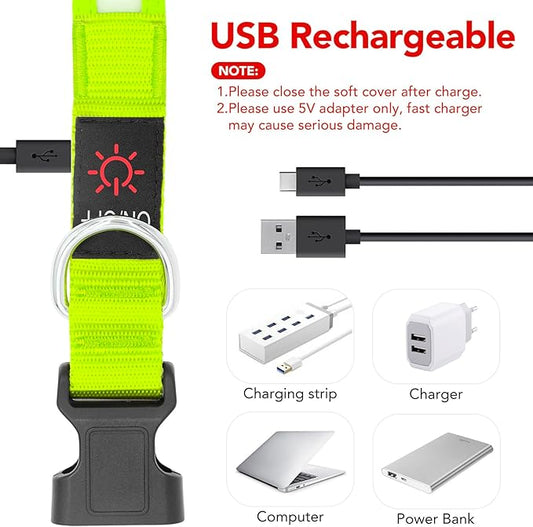Vizpet LED Dog Collar, Light Up Dog Collar Adjustable USB Rechargeable Super Bright Safety Light Glowing Collars for Dogs(Medium,Green)