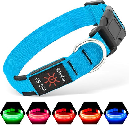 Illumifun LED Dog Collar, USB Rechargeable Light Up Dog Collar, Adjustable Pet Safety Light Glow in The Dark (Blue, Medium)