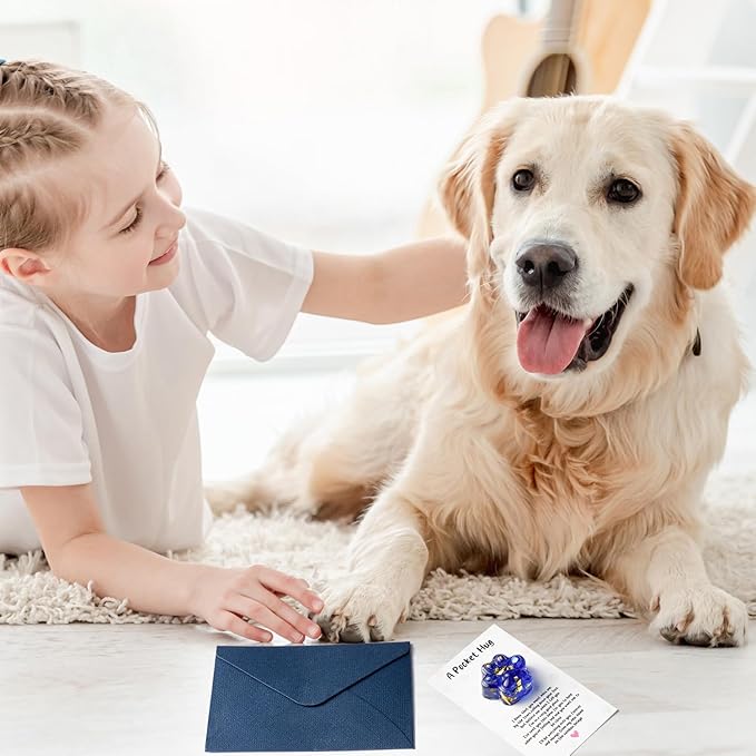 Loss of Pet Sympathy Gift - 2 Pack Glitter Blue Mini Paw Pocket Hug Toy with Memorial Card Envelope Remembrance Bereavement Gift Loss of Dog Cat Sympathy Favor Pet Lovers Stress Relief Toy