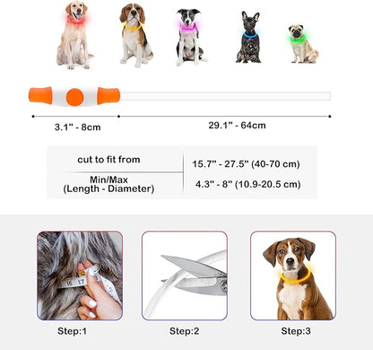 Light Up Dog Collar, Dlitk Rechargeable Cuttable LED Dog Collars, Pet Safety Light at Night Walking for Small Medium Large Dogs, Do Not Use Fast Charging (Orange)