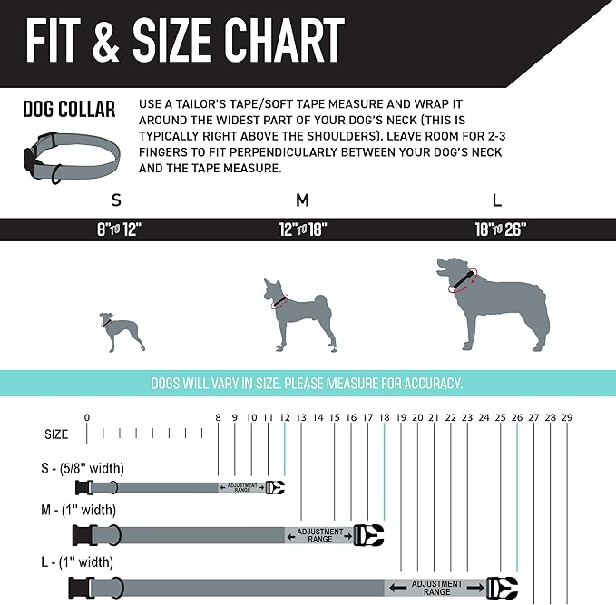 Wolfgang Heavy Duty, Adjustable Dog Collar with Quick Release Nylon Buckle for Walking & Training, MountainVibes Print, Small