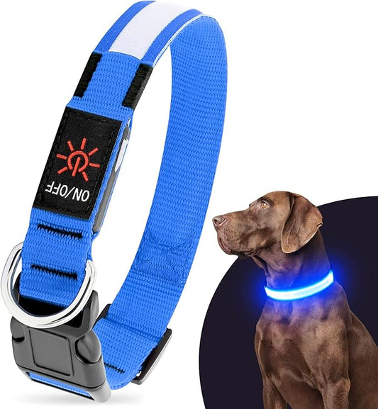Illumifun LED Collar for Dogs, USB Rechargeable Light Up Dog Collars Glow in The Dark (Blue, Small)