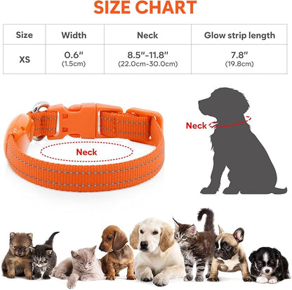 Light Up Dog Collar - Rechargeable LED Pet Collar for Puppies & Cats, Glowing Safety Dog Lights for Night Walking (Orange, XS)