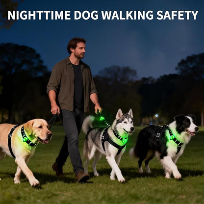 LaRoo LED Dog Collar Light - Waterproof Clip-On Night Walking Light with 3 Modes, High Visibility for Small/Medium Dogs,Pet Nighttime Running Camping Essentials (Green)