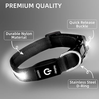 LED Dog Collar for Small Dogs Cats - Fully Waterproof & Adjustable Glow Collar - USB-C Rechargeable for Night Walking, Safety - Flashing Lighted Collar for Dogs(White,XS)