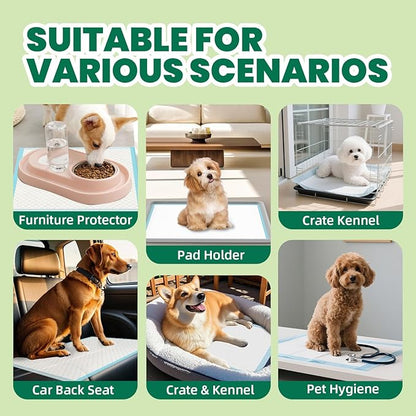 IMMCUTE 100 Count Premium Puppy Pads, 22"x23" Dog Pee Pads – Ultra-Soft Heat-Sealed, 6-Layer Leak-Proof & Super Absorbent Potty Training Pads for Dogs, Cats, Pets | Crate Training & Indoor Use, Blue