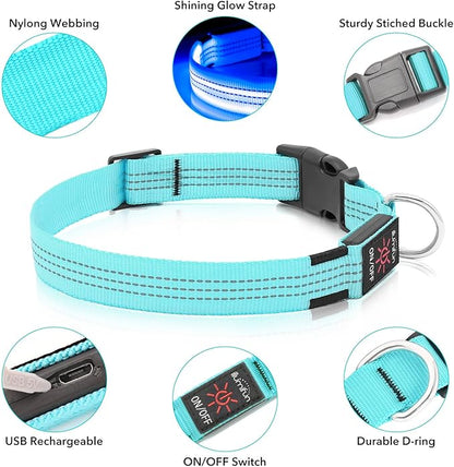 Illumifun LED Dog Collar - USB Rechargeable Dog Light Up Collar, Reflective Pet Collar Light Glow in The Dark (BlueⅢ, Medium)