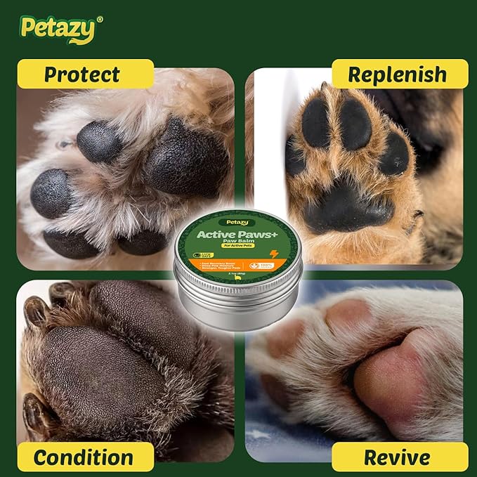 Active Paws+ Dog Paw Balm for Dogs – Paw Protection for Walking, Hiking & Running, Prevents Cracks & Wear, Natural Paw Wax with Beeswax, Shea Butter, Coconut Oil, Aloe Vera, & Vitamin E