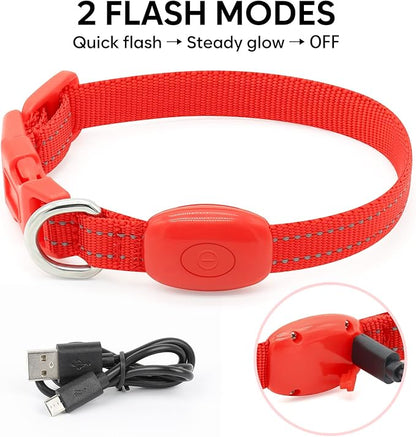Light Up Dog Collar - Reflective LED Puppy Collar Rechargeable Glow in The Dark Cat Collar High Visibility Safety Dog Lights for Night Walking (XS, Red)