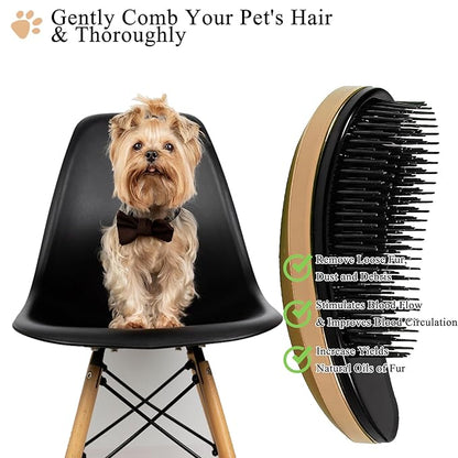 Small Dog Brush, Soft Pet Grooming Brush for Shih Tzus, Yorkies, Maltipoos, Maltese, Puppy Massaging Hair Brush, Cat Brush, for Small Animals Rabbits of All Hair Types (Golden)