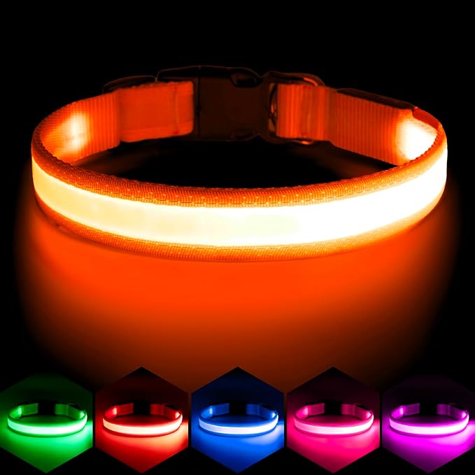 Vizpet LED Dog Collar, Light Up Dog Collar Adjustable USB Rechargeable Super Bright Safety Light Glowing Collars for Dogs(Medium,Orange)