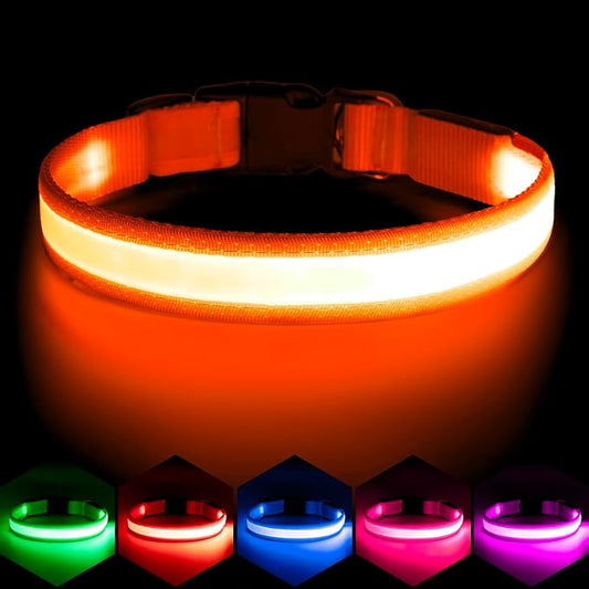 Vizpet LED Dog Collar, Light Up Dog Collar Adjustable USB Rechargeable Super Bright Safety Light Glowing Collars for Dogs(Medium,Orange)
