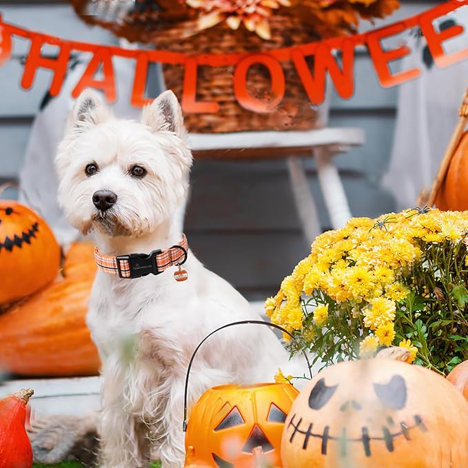 ARING PET Puppy Fall Dog Collar, Autumn Orange Black White Plaid Pet Collars for Small Medium Large Girl Boy Dogs Halloween-S Size
