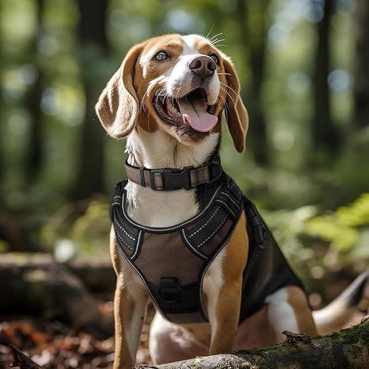 Joytale Reflective Dog Collar, Soft Neoprene Padded, Metal D-Ring, Nylon Pet Collar Adjustable for Extra Large Dogs, Brown, XLarge