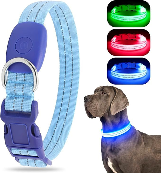 LED Lighted Reflective Dog Collar for Night Safety, USB Rechargeable, Glow Collar for Dogs, Waterproof, Adjustable Flashing (Blue, Medium)
