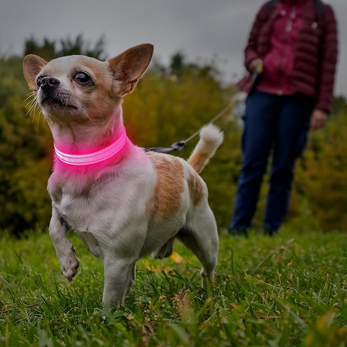 Illumifun LED Dog Collar, USB Rechargeable Light Up Collars, Adjustable Safety Collar Light for Small Dogs Cats Glow in The Dark (Pink, X-Small)