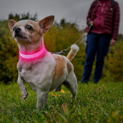 Illumifun LED Dog Collar, USB Rechargeable Light Up Collars, Adjustable Safety Collar Light for Small Dogs Cats Glow in The Dark (Pink, X-Small)