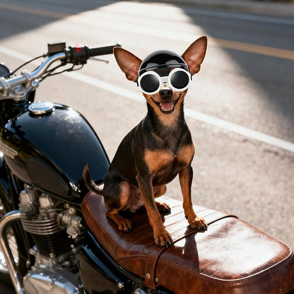 PETLESO Extra Small Dog Goggles and XSmall Dog Helmet, 2Pcs Anti-UV Doggy Sunglasses Cat Motorcycle Protecetive Helmet Set, Chihuahua Safety Hard Hat Outdoor Head & Eyes Protection, White XS