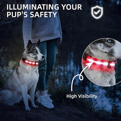 LED Dog Collar for Small Dogs Cats - Fully Waterproof & Adjustable Glow Collar - USB-C Rechargeable for Night Walking, Safety - Flashing Lighted Collar for Dogs(Red,XS)