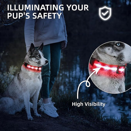 Super Bright LED Dog Collar - Fully Waterproof & Adjustable Glow Collar - USB-C Rechargeable for Night Walking, Safety - Flashing Lighted Collar for Dogs(Red,Medium)