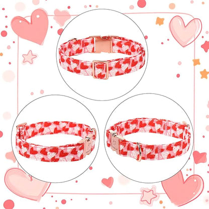 Valentines Dog Collar, Cute Pink Valentine Dog Collars, Doodle Heart Pattern, Adjustable Heavy Duty Pet Collar for Small Medium Large Dogs with Metal Buckle XL