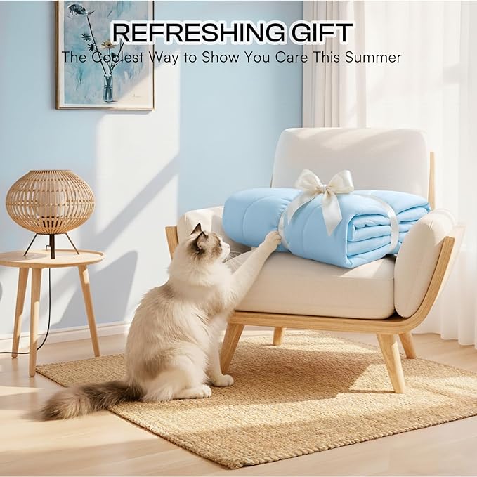 Luciphia Premium Cooling Dog Blanket Washable Q-MAX>0.5 Small Medium Large Pet Mat Puppy Cat Self-Cooling Soft Breathable Calming Throw for Sofa Crate Bed (Light Blue,29x40 inches)